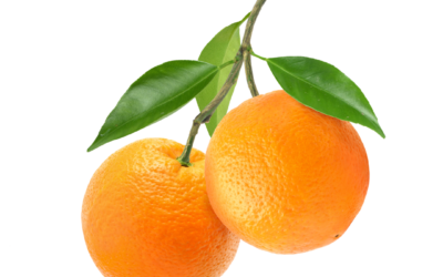 Πορτοκάλι